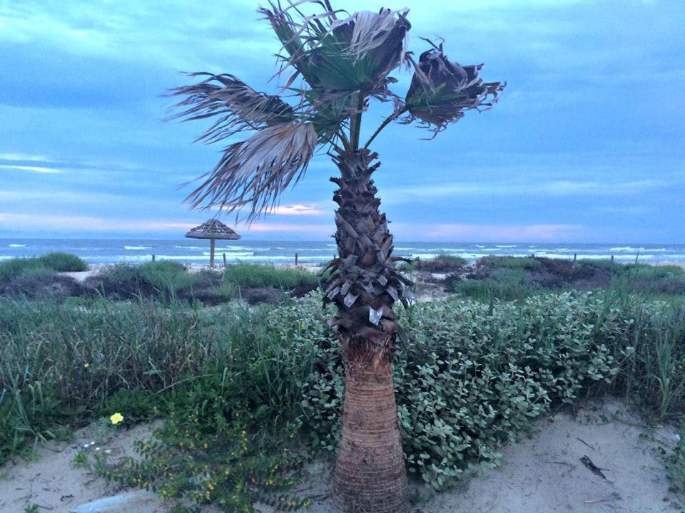Unobstructed Oceanfront Seagull Unit 3 Beach Pad! Villa Surfside Beach Exterior photo